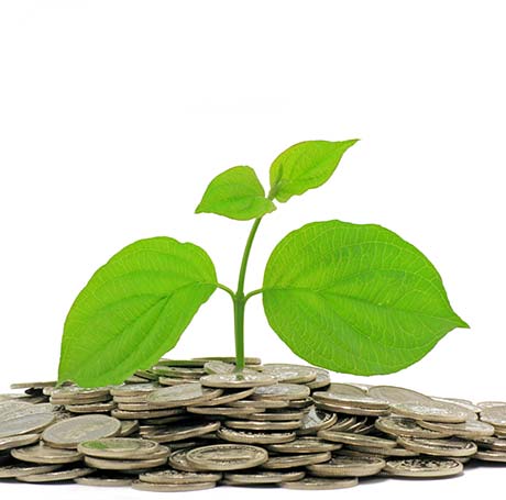 Nachhaltige Geldanlagen